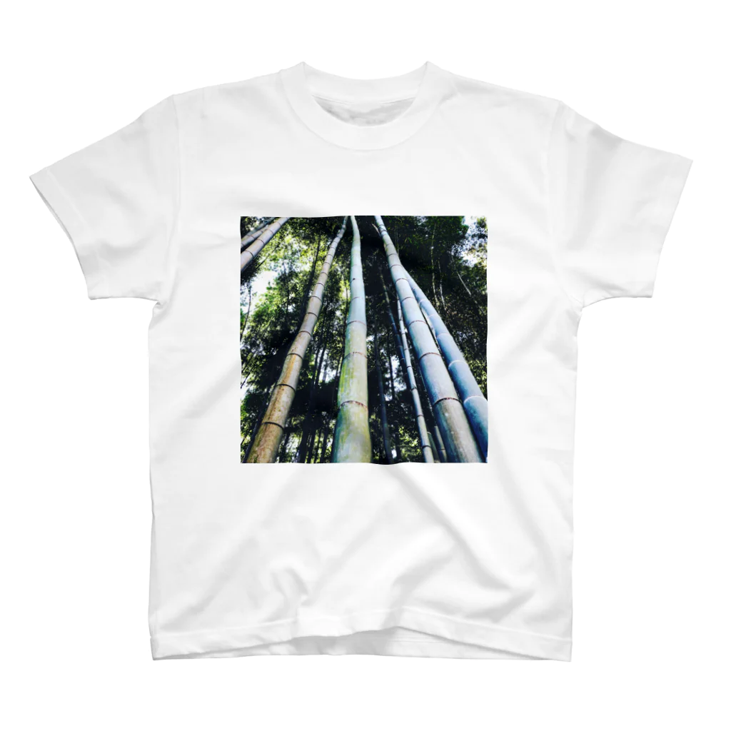 smile_twinsのbamboo スタンダードTシャツ