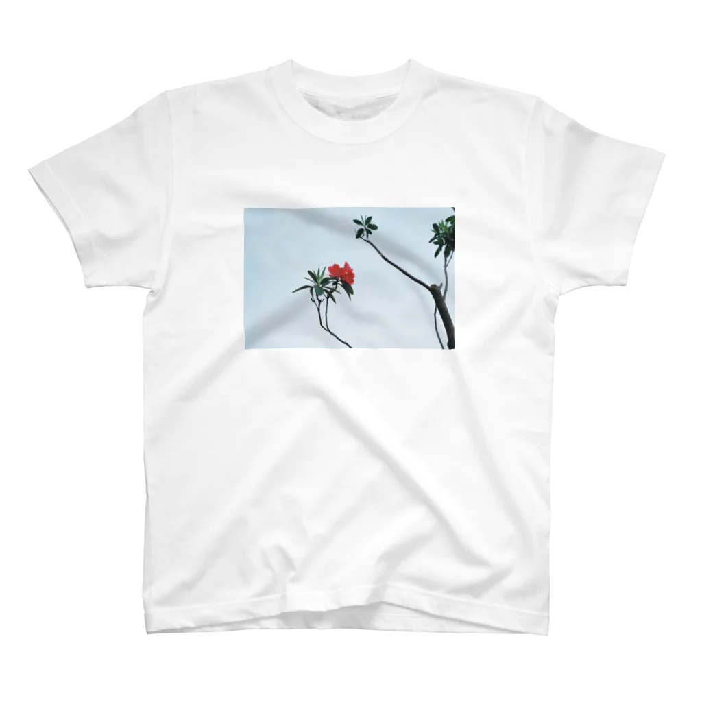 エモい写真館の空と花（ツツジ） スタンダードTシャツ