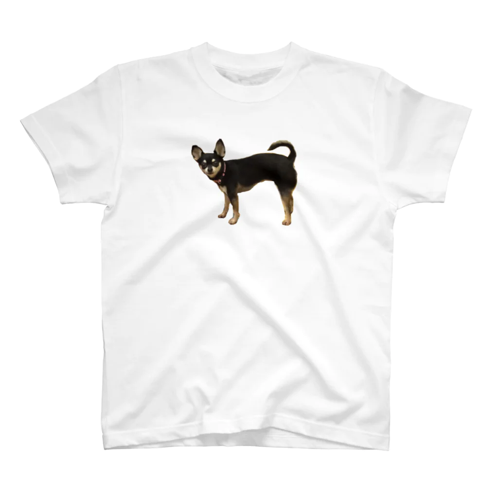 taisiboumoyasouの可愛すぎる犬 スタンダードTシャツ