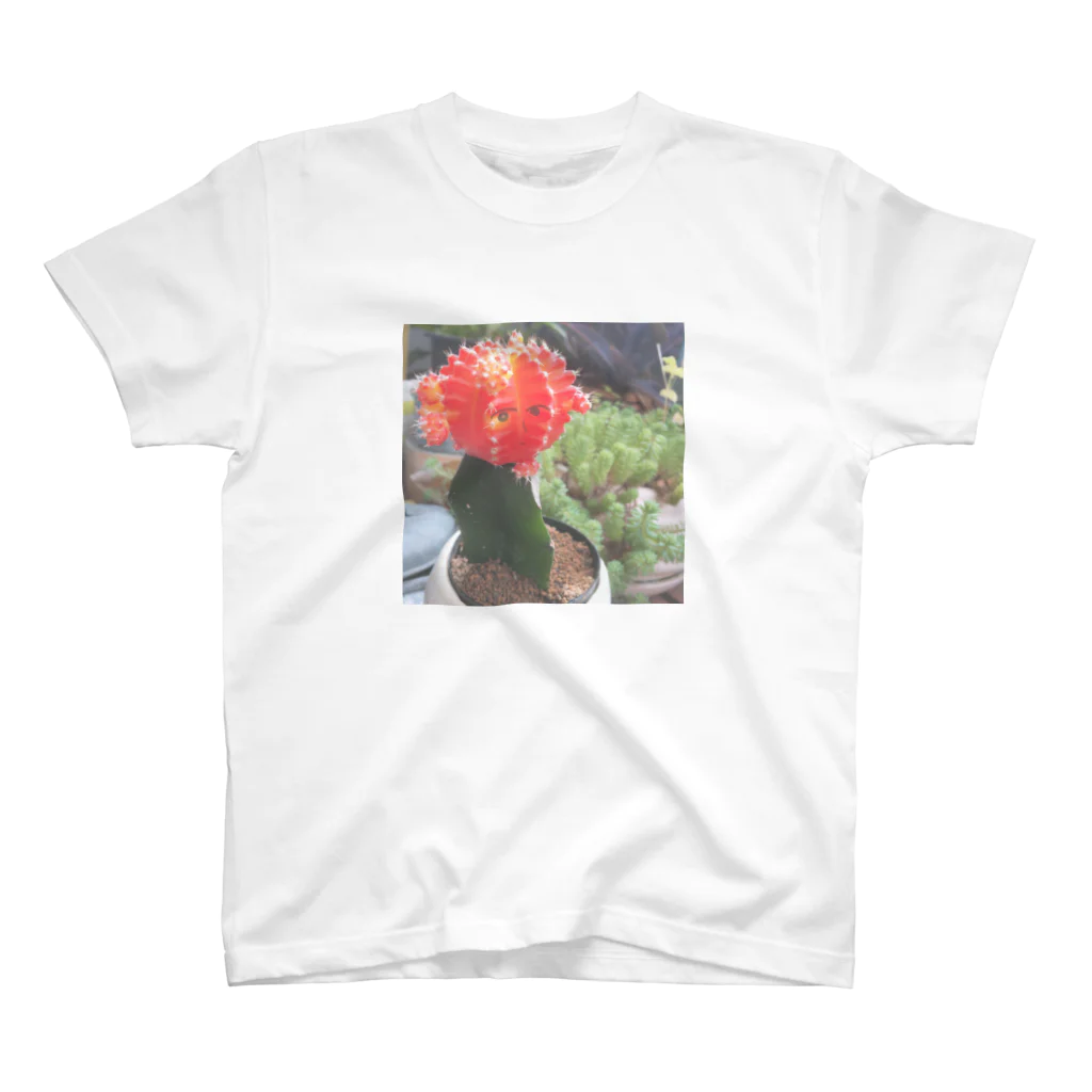 Yoshika-のひぼたんの花子さん スタンダードTシャツ