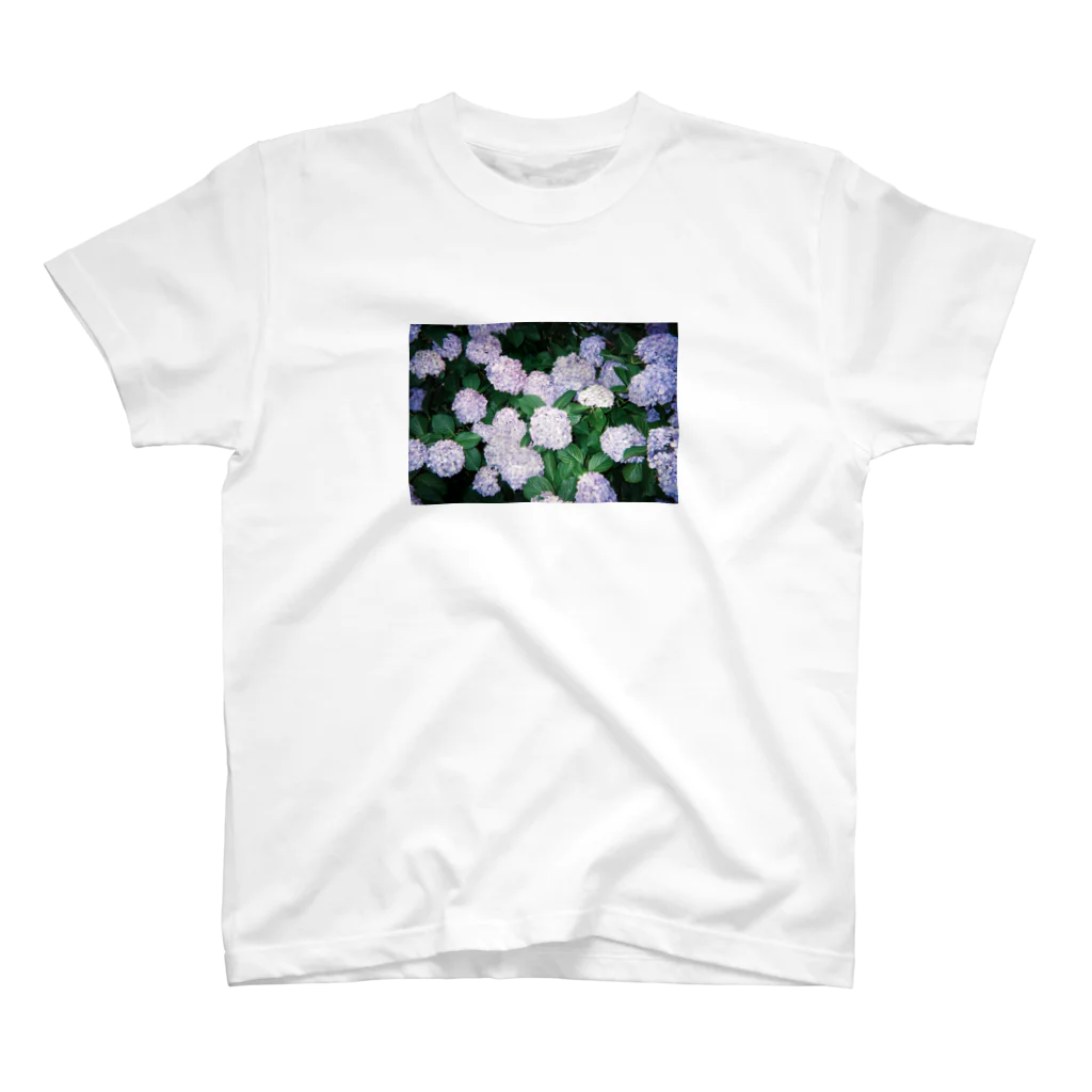 shimi.の紫陽花2 スタンダードTシャツ