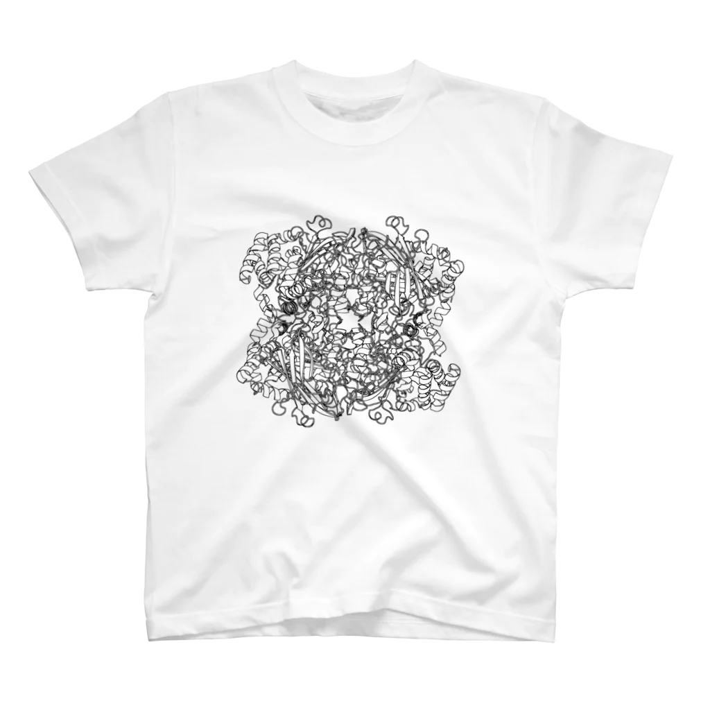 理系Tシャツ(バイオ・化学中心)のcatalase カタラーゼ スタンダードTシャツ