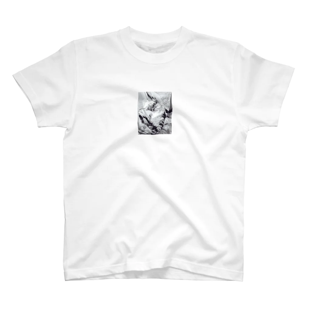 りつの踊り猫 Regular Fit T-Shirt