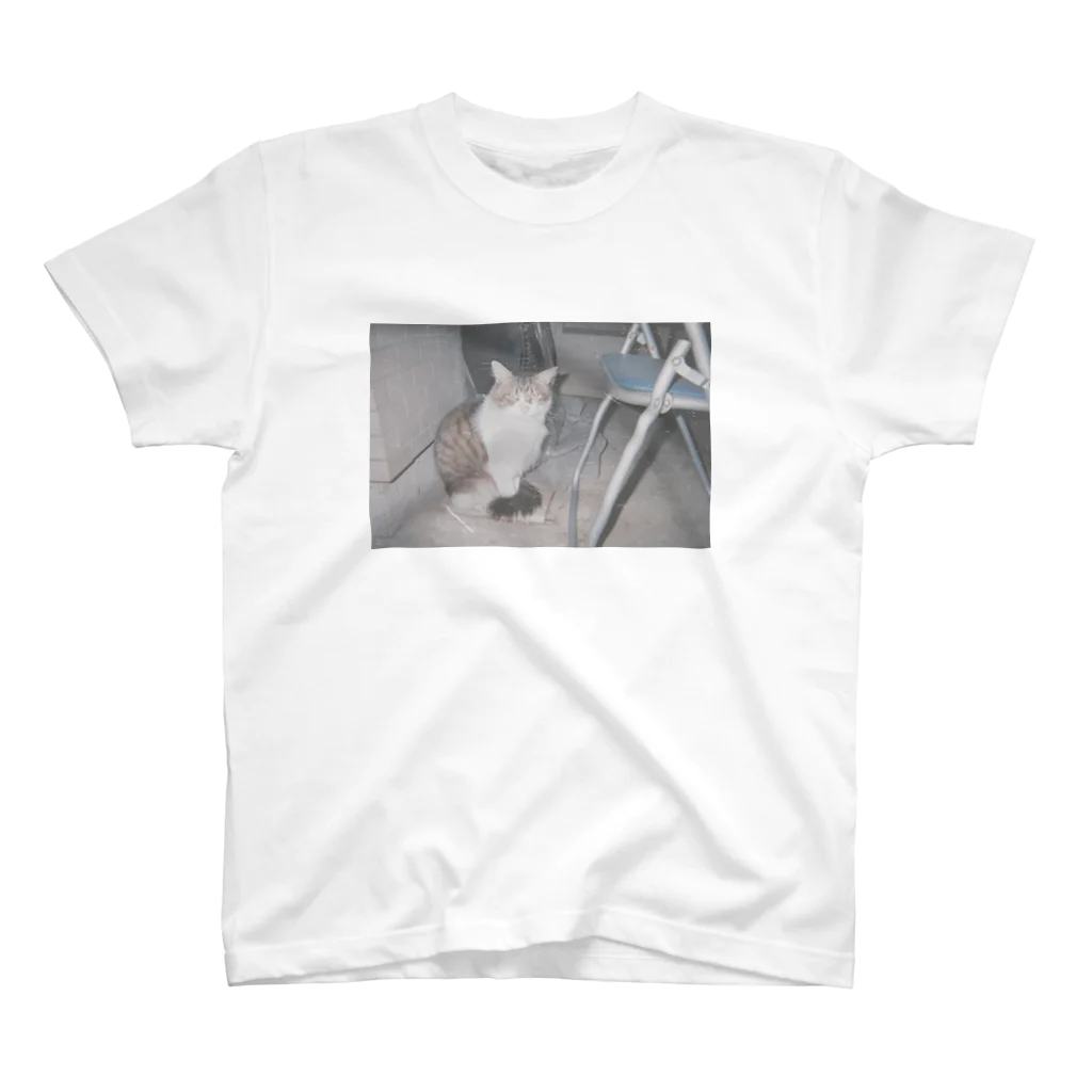 みゆきのねこ Regular Fit T-Shirt