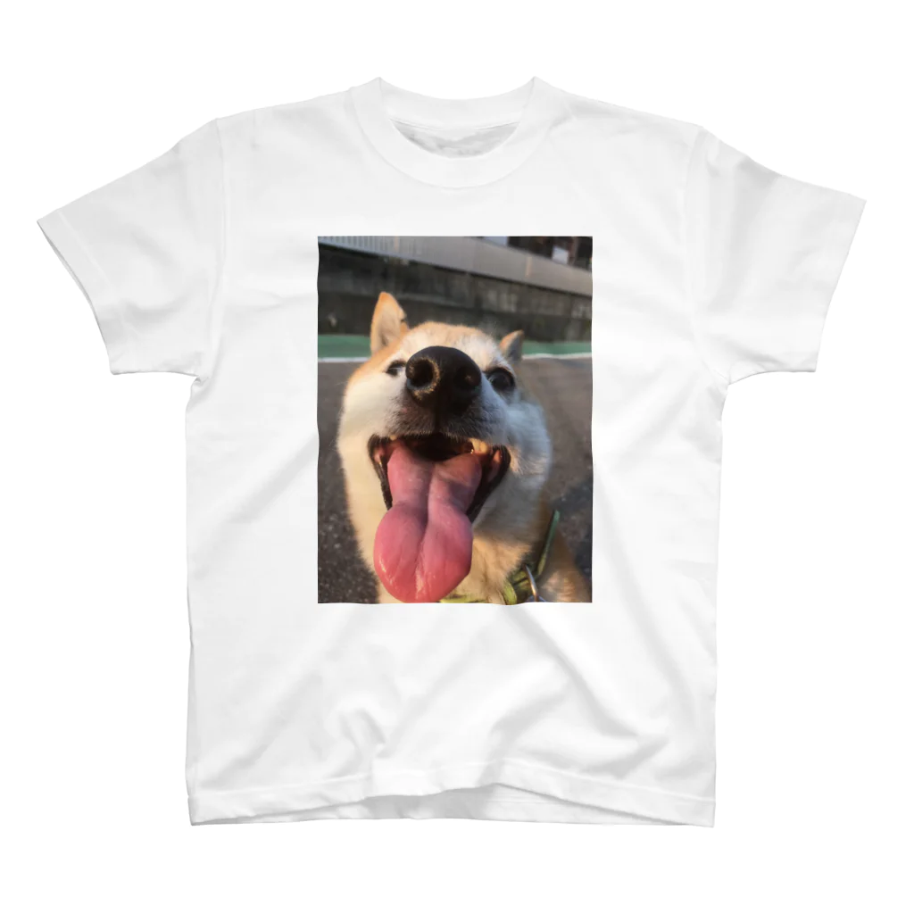 やまねっこ洋服店のゆかいな犬3Dシャツ 笑顔ver Regular Fit T-Shirt