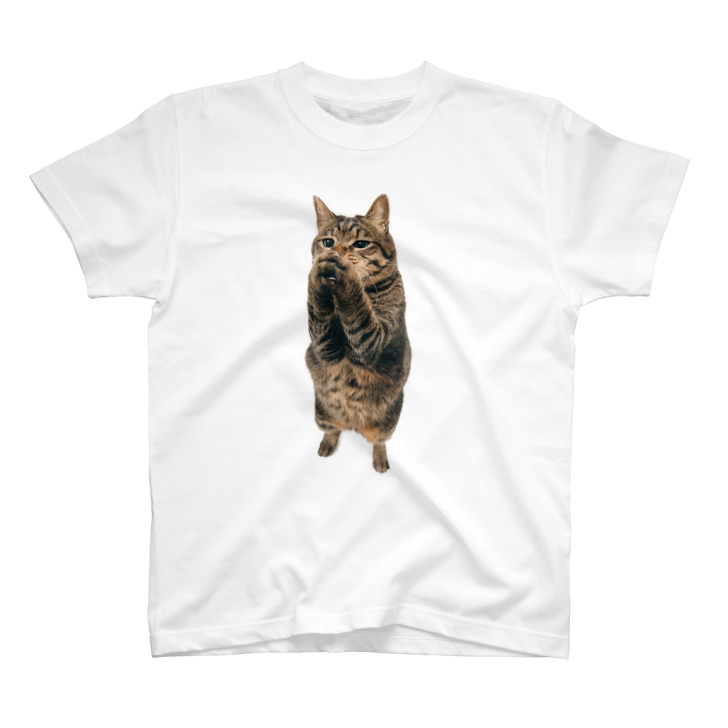 祈るキジトラ猫 Nekotoru ねことる Nekotoru のスタンダードtシャツ通販 Suzuri スズリ