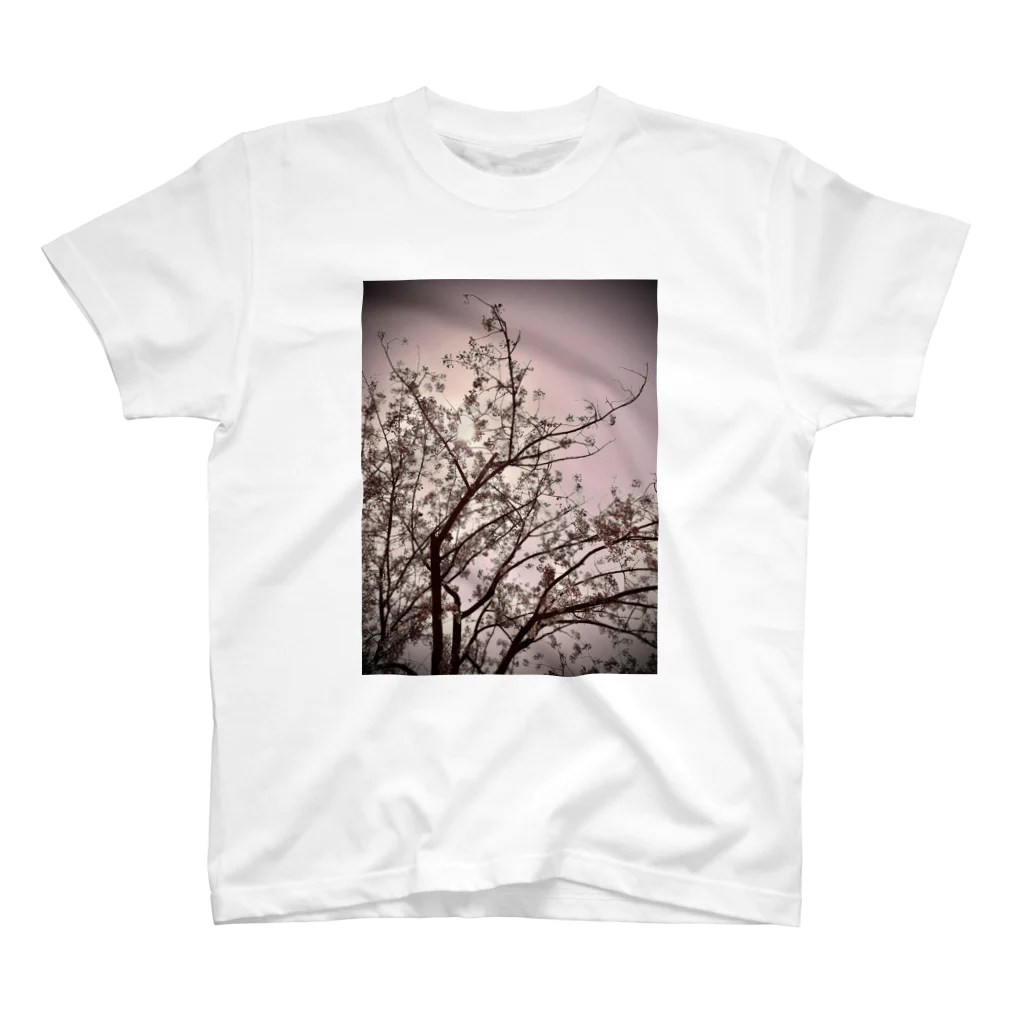 TOSHiKi。の桜春 スタンダードTシャツ