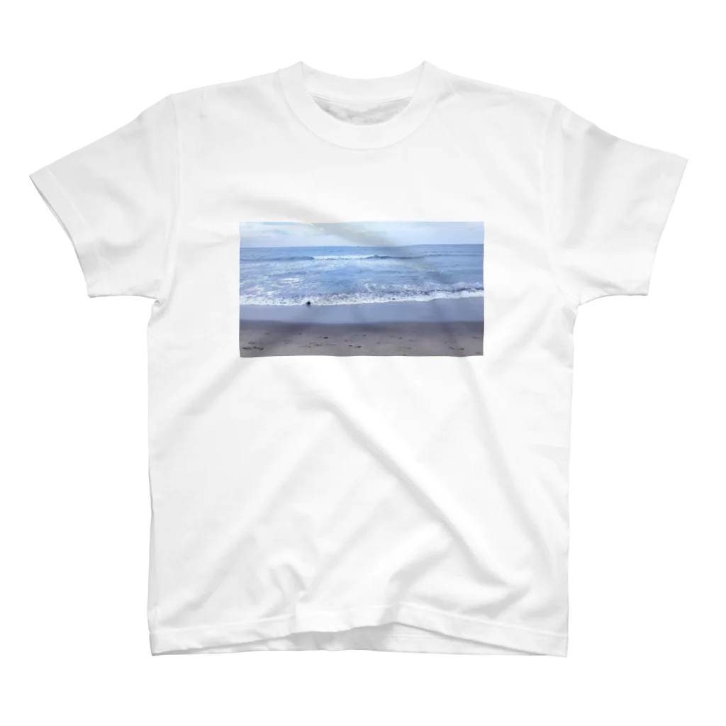 Iyacoのsea Regular Fit T-Shirt