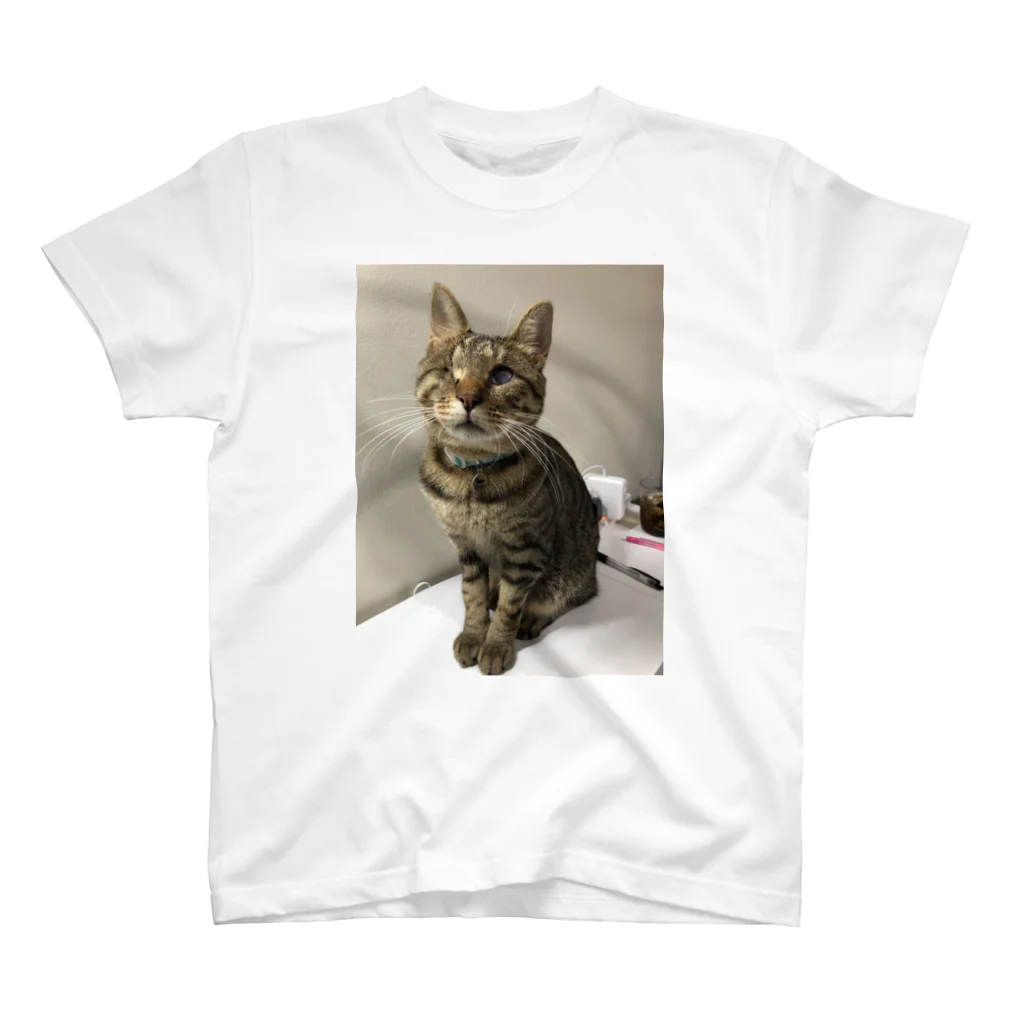 みけ（猫たつえ製作所/闇と肉球。）の千景一歳記念 スタンダードTシャツ