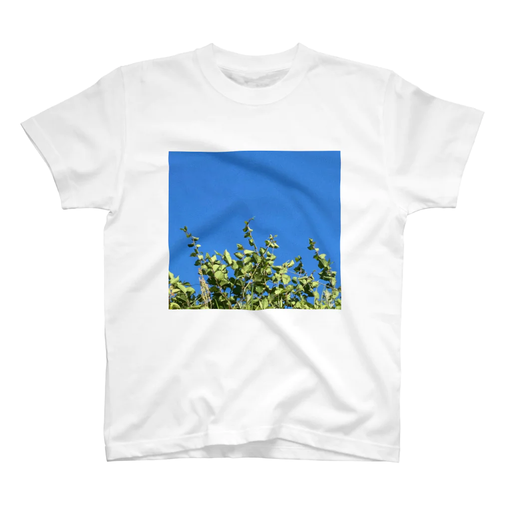 無糖の草 Regular Fit T-Shirt