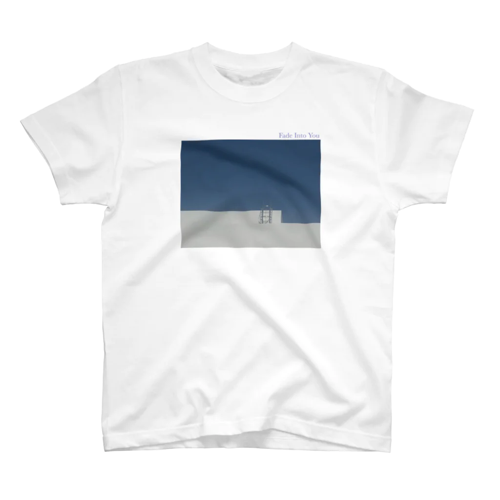 Somewhere in Suburbのpool スタンダードTシャツ