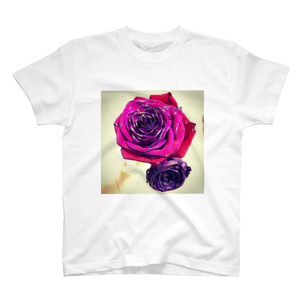 森だくさんのroses Regular Fit T-Shirt