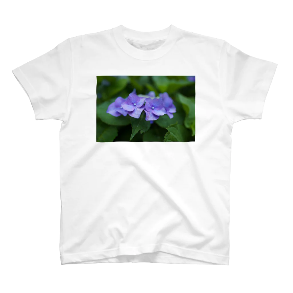 gallery_yukoの紫陽花 スタンダードTシャツ