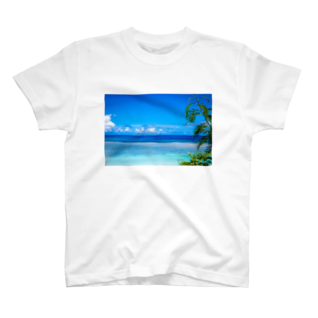 mizuphoto galleryのHealing Blue スタンダードTシャツ