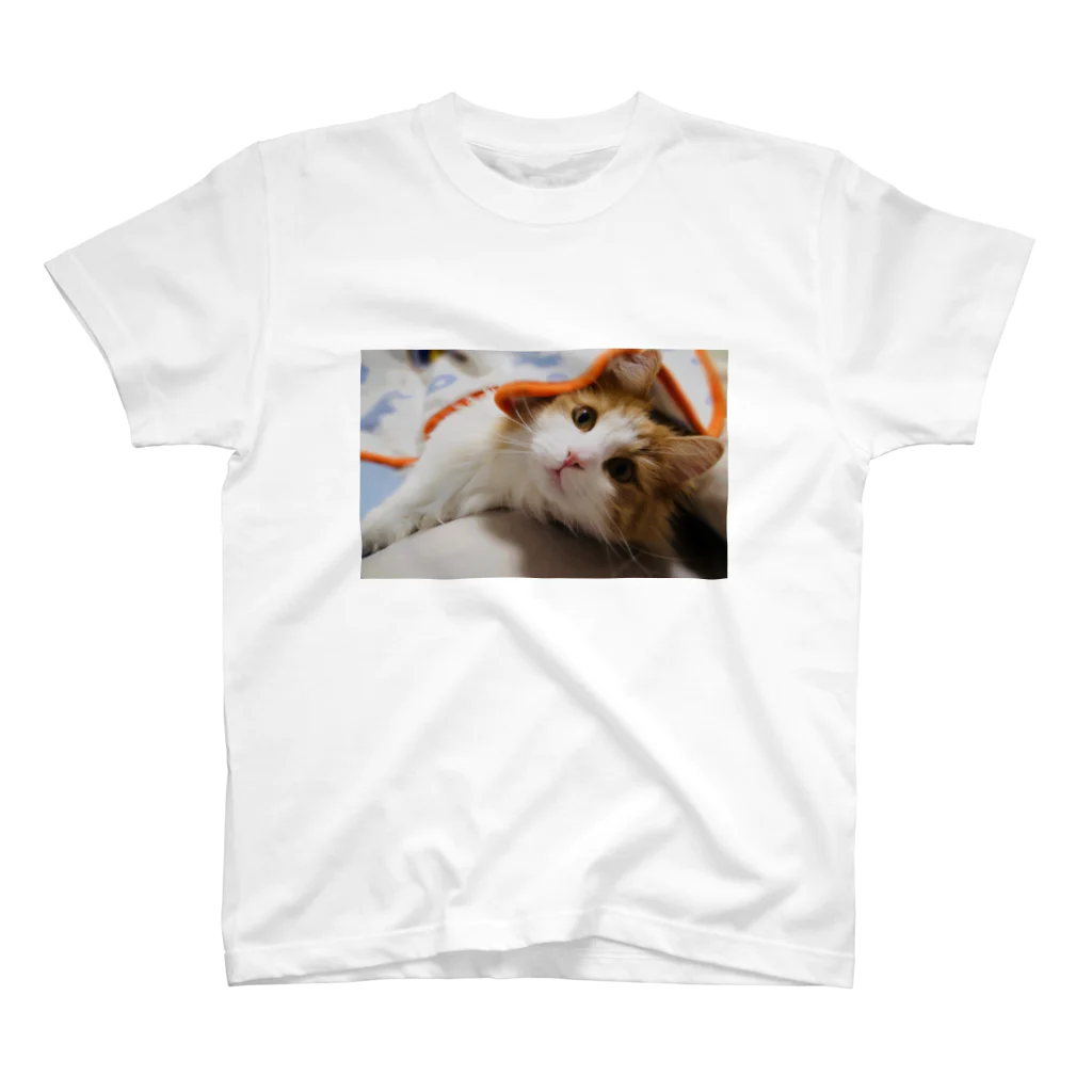 レオ様の上目遣いレオ様 Regular Fit T-Shirt