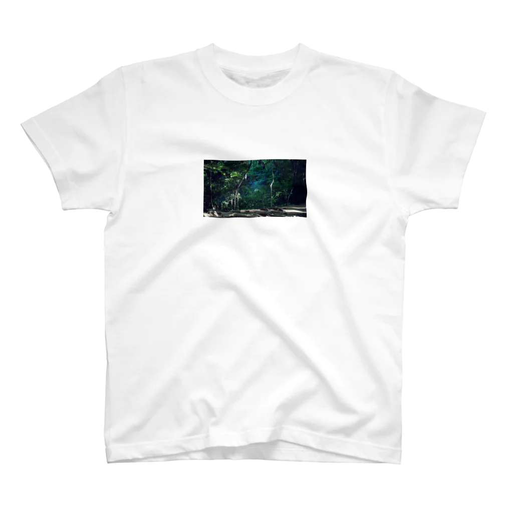 五十嵐灯の緑青 Regular Fit T-Shirt