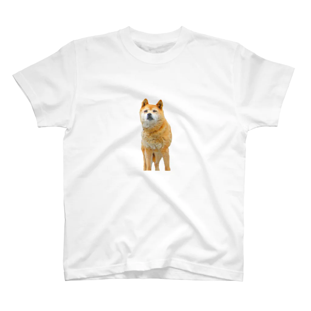 曽我農園の畑に迷い込んだ犬 スタンダードTシャツ