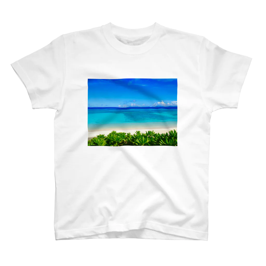 mizuphoto galleryの夏の扉 Regular Fit T-Shirt