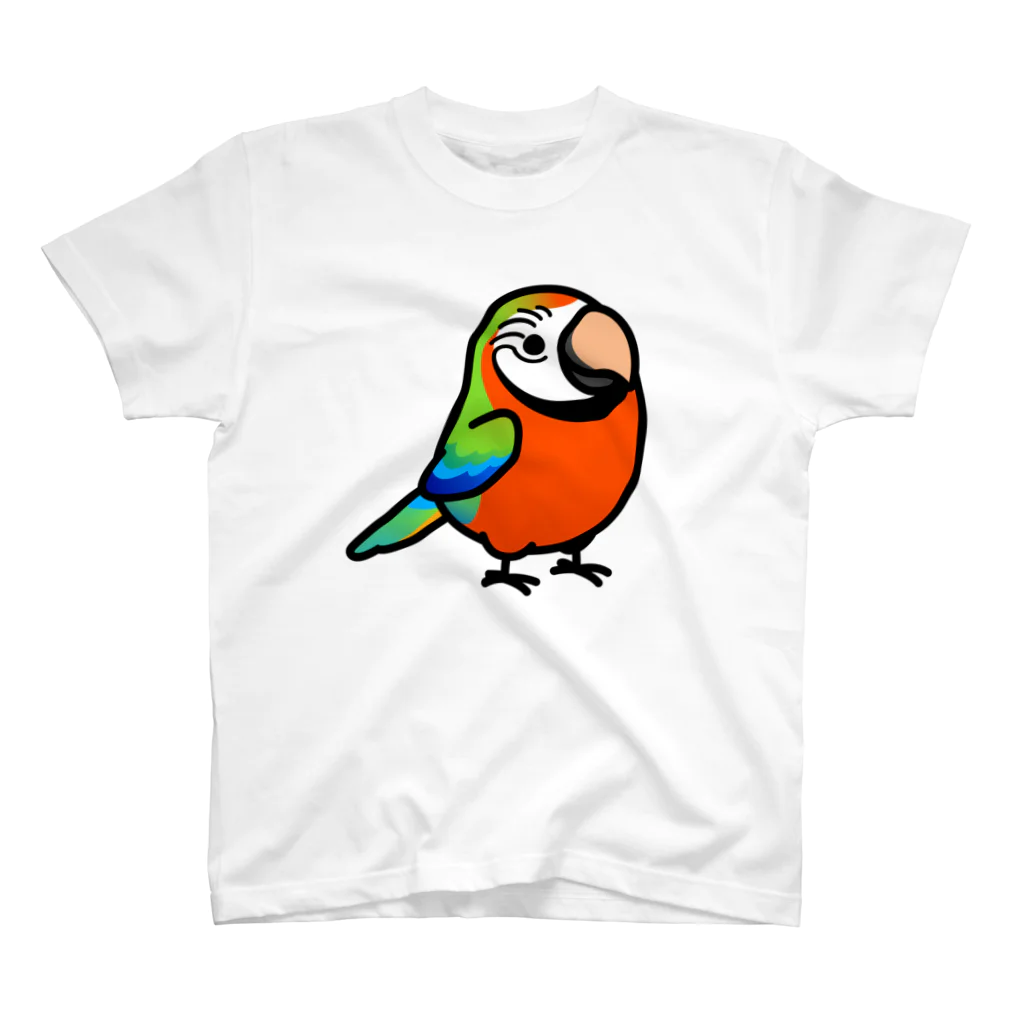 Cody the LovebirdのChubby Bird ハルクインコンゴウインコ スタンダードTシャツ