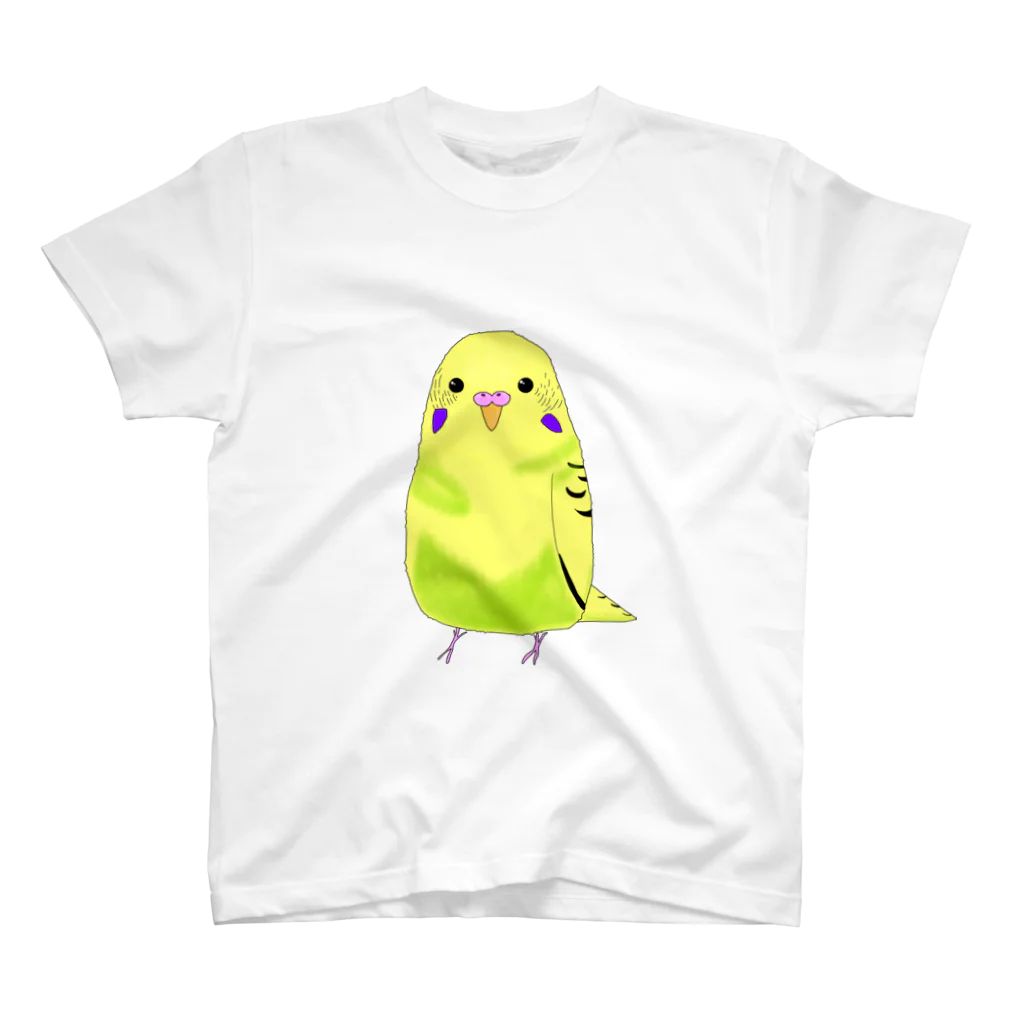 もふもふインコのけいちゃんのくりくりおめめのもふけいちゃん スタンダードTシャツ