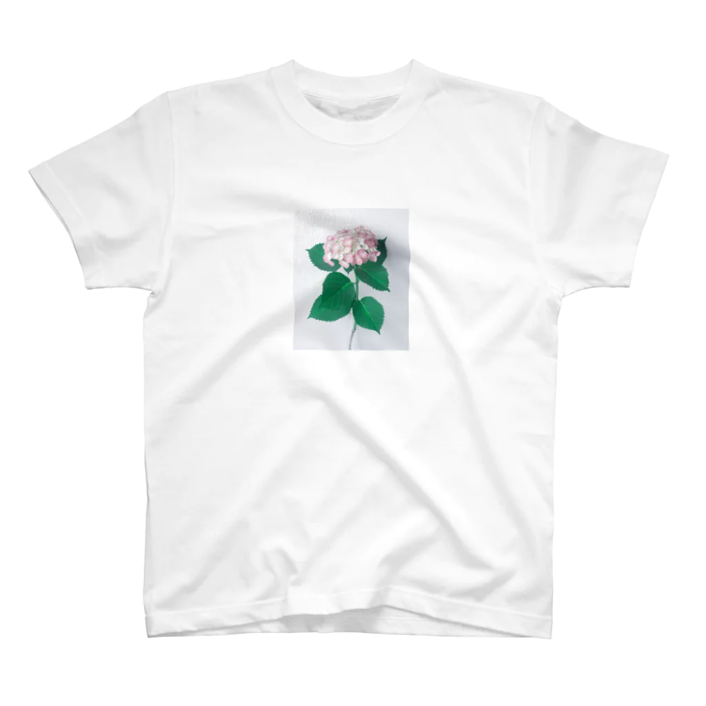 クツナ ノリコの花_1 スタンダードTシャツ