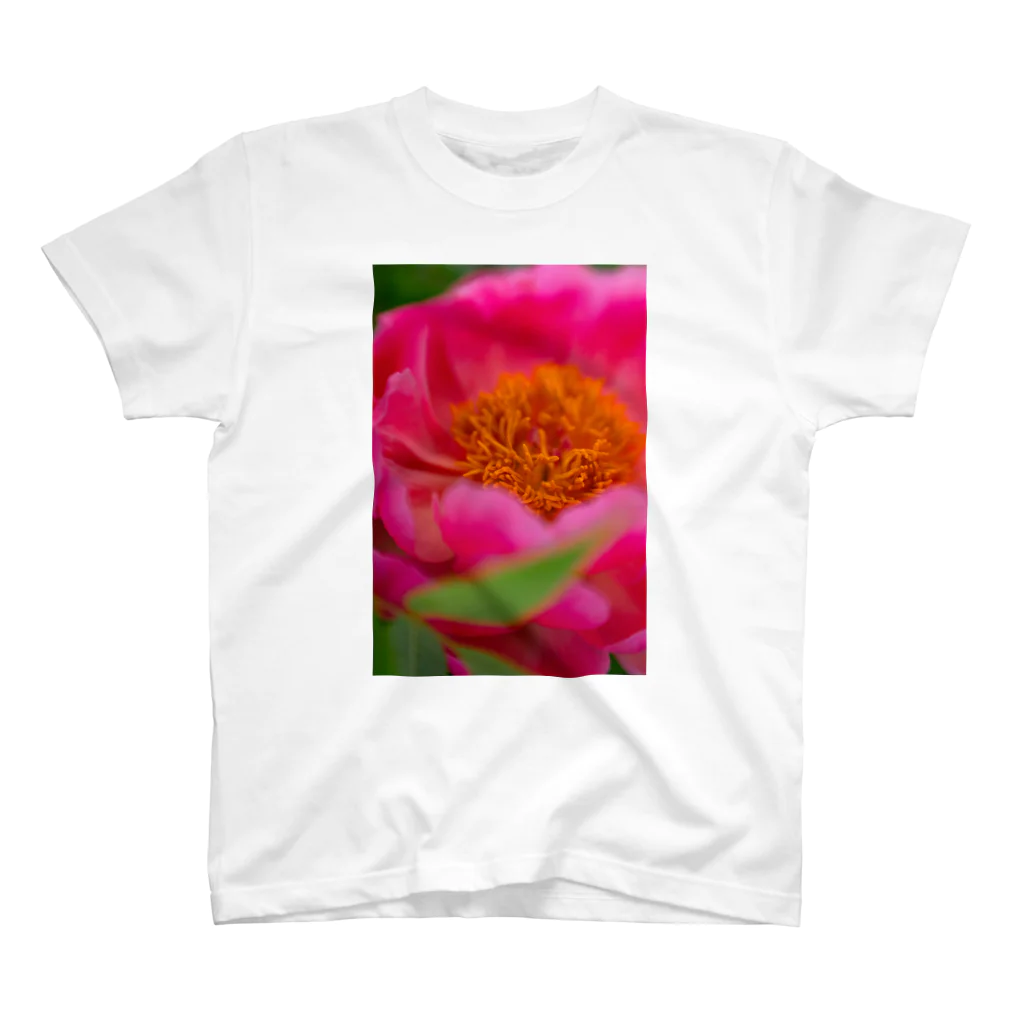 てぃぴおの芍薬 スタンダードTシャツ