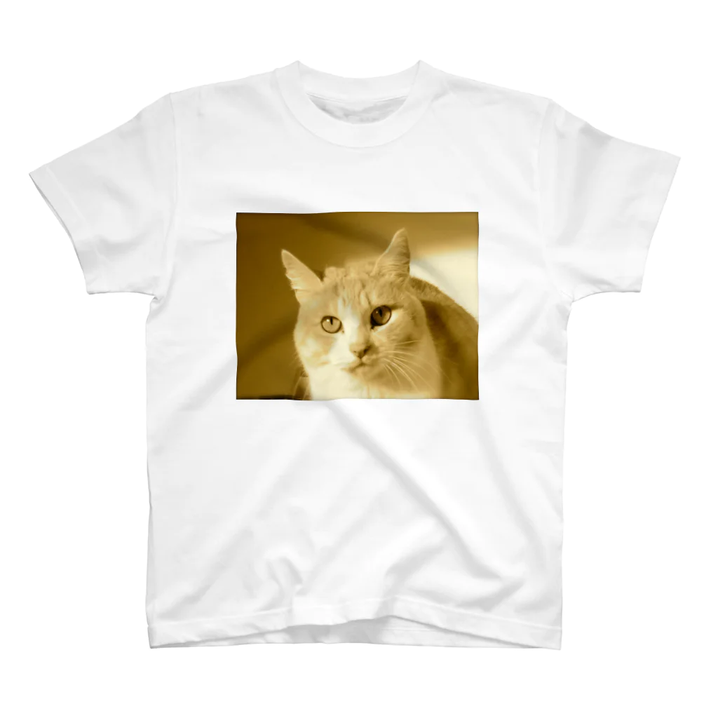 ムエックネの猫 スタンダードTシャツ