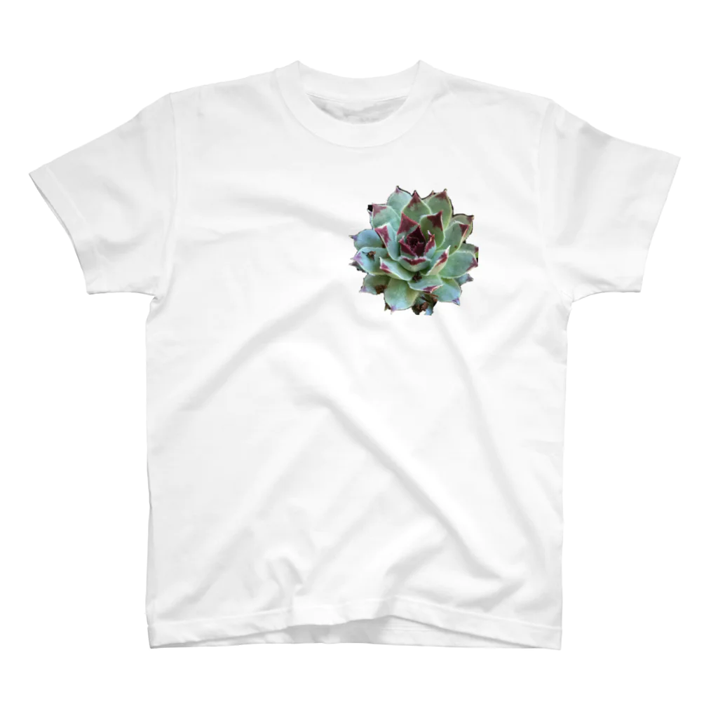 nanachan777の多肉植物　綾桜 Regular Fit T-Shirt