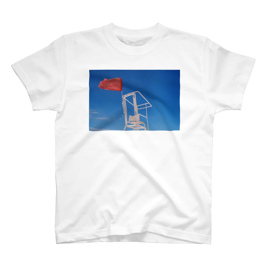 BungaTomaのSky and nothing スタンダードTシャツ