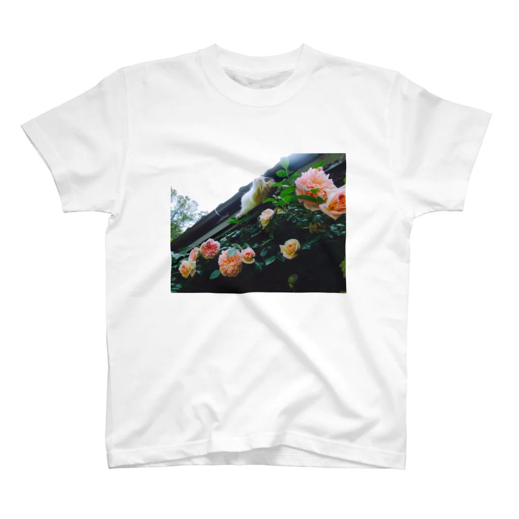 ひょうたん翠のモモちゃんと薔薇。 スタンダードTシャツ