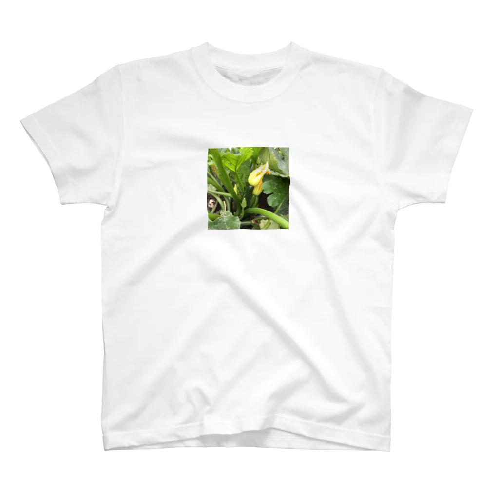 kotyae★roomのズッキーニの花 Regular Fit T-Shirt