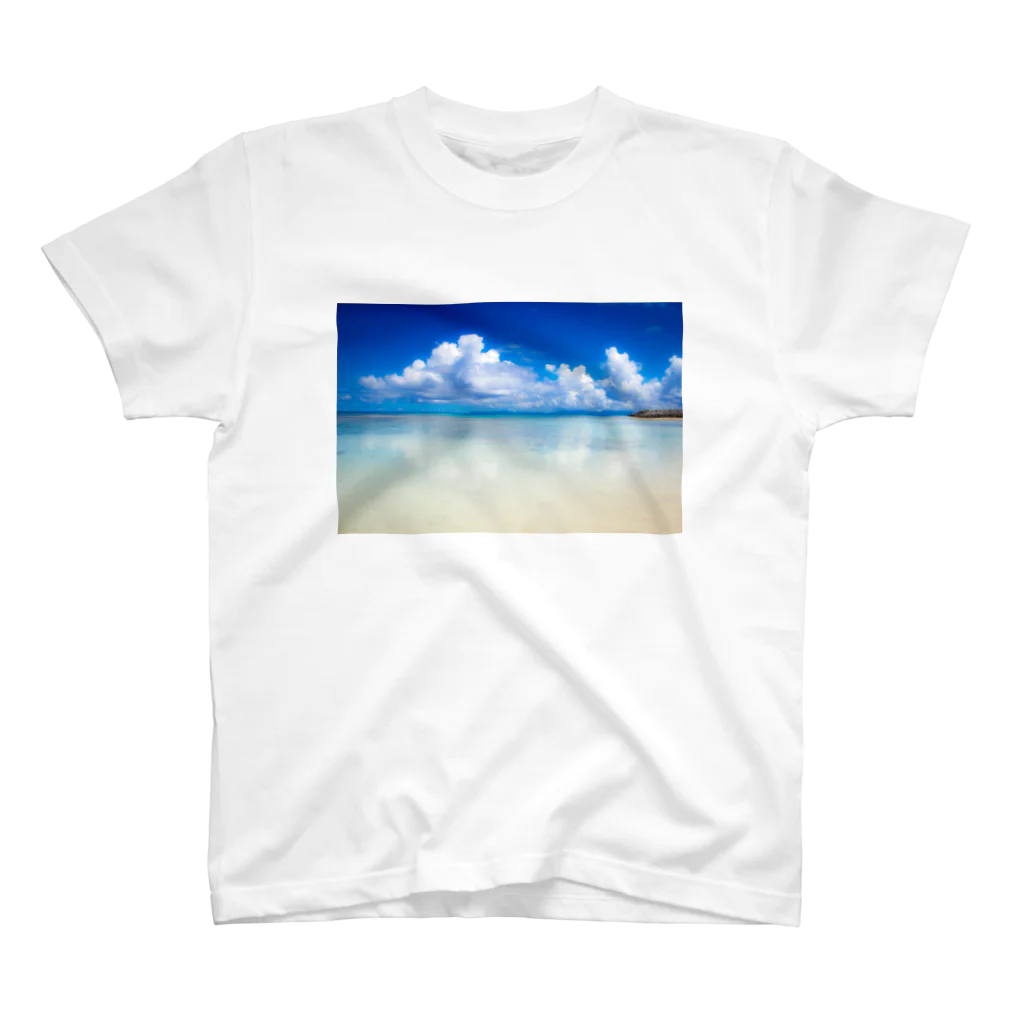 mizuphoto galleryのDreaming blue Regular Fit T-Shirt