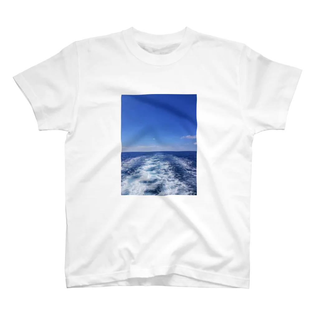 ほぼひめ。のイタリアの空と海 スタンダードTシャツ