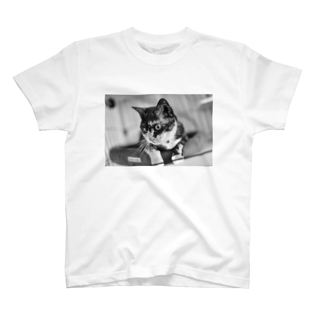 犬 猫 大好き！の猫 Tシャツ、リンガーTシャツ、トートバッグ、マグカップ Regular Fit T-Shirt