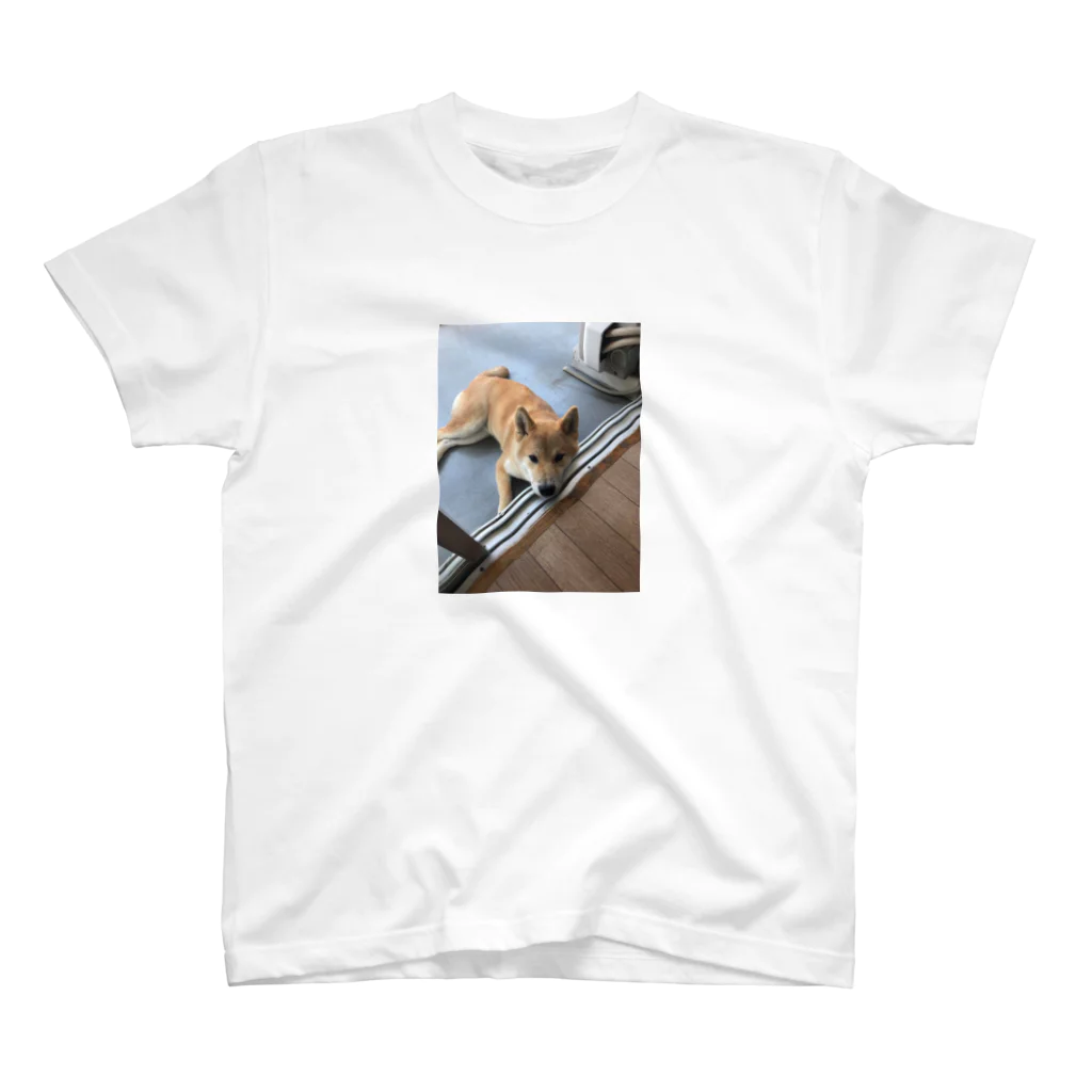 イトヨリショップの顎犬Ｔ スタンダードTシャツ