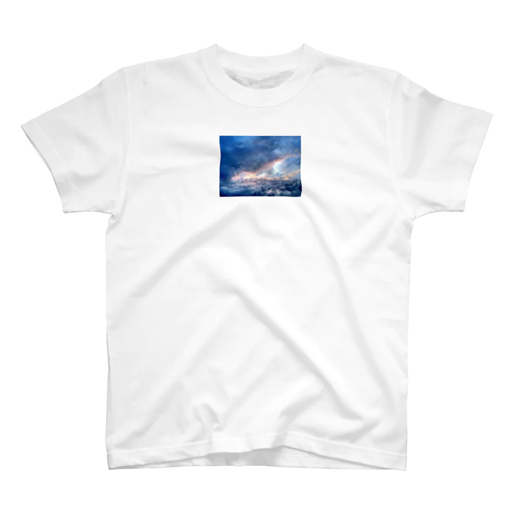 Gladiolus-and-Poppyの夏空 (the summer sky) スタンダードTシャツ