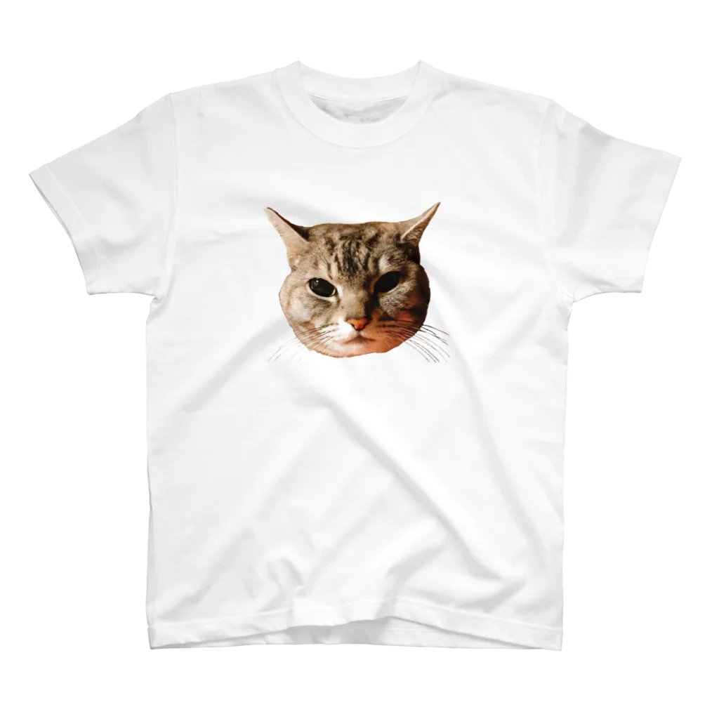 げんきもりもりのぽろにゃん猫のシュラ スタンダードTシャツ