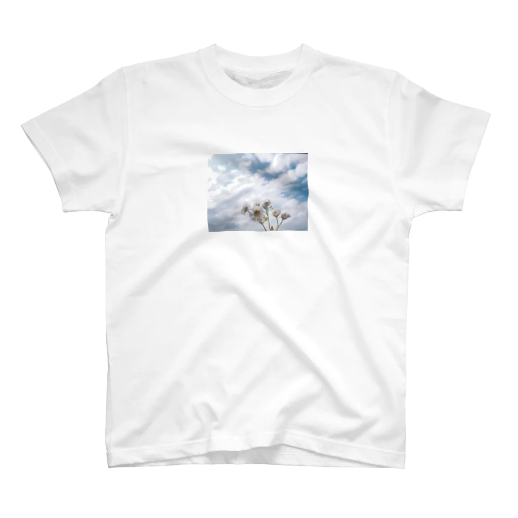 uneillustrationの空花　Tシャツ スタンダードTシャツ