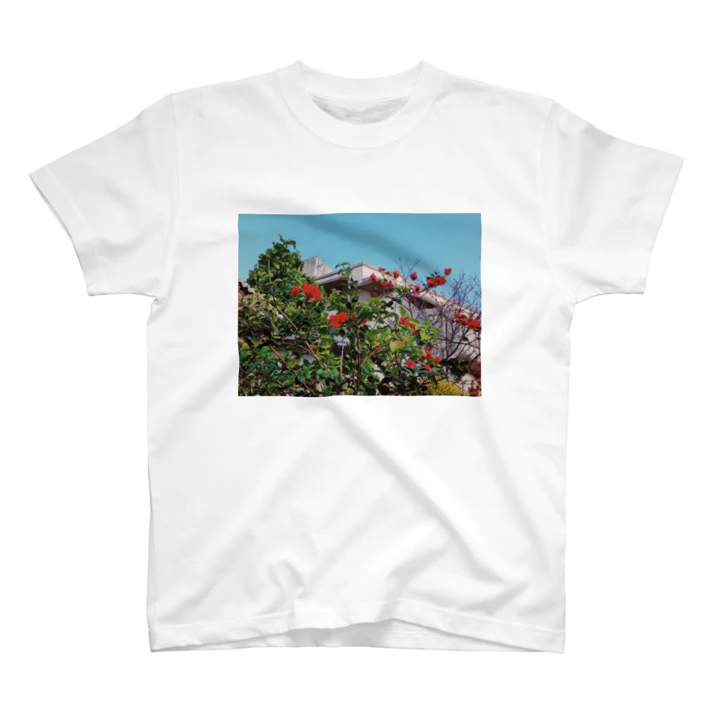 Tahara Masaruの南国の華々 スタンダードTシャツ