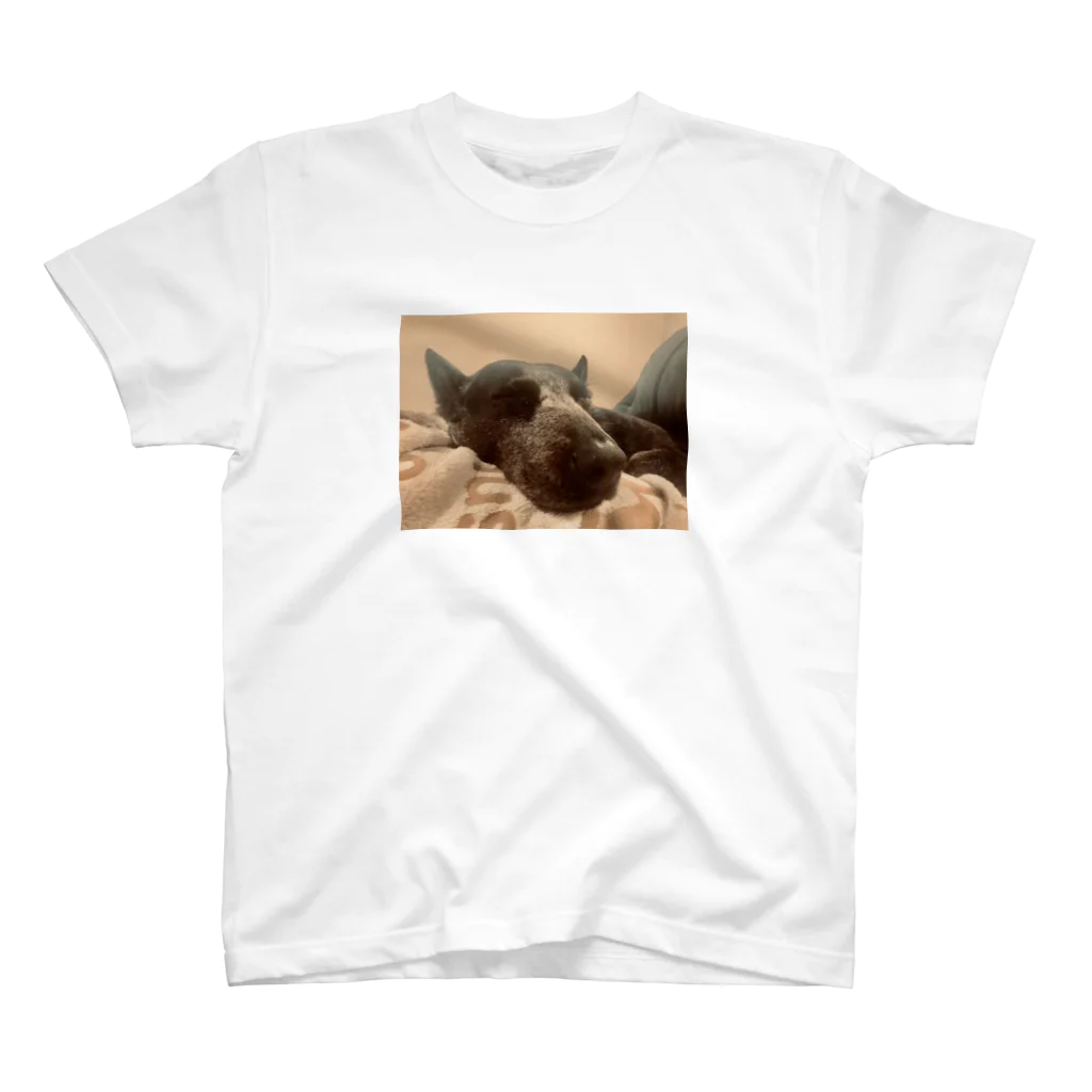 Pchan goodiesのSleepy dog  スタンダードTシャツ