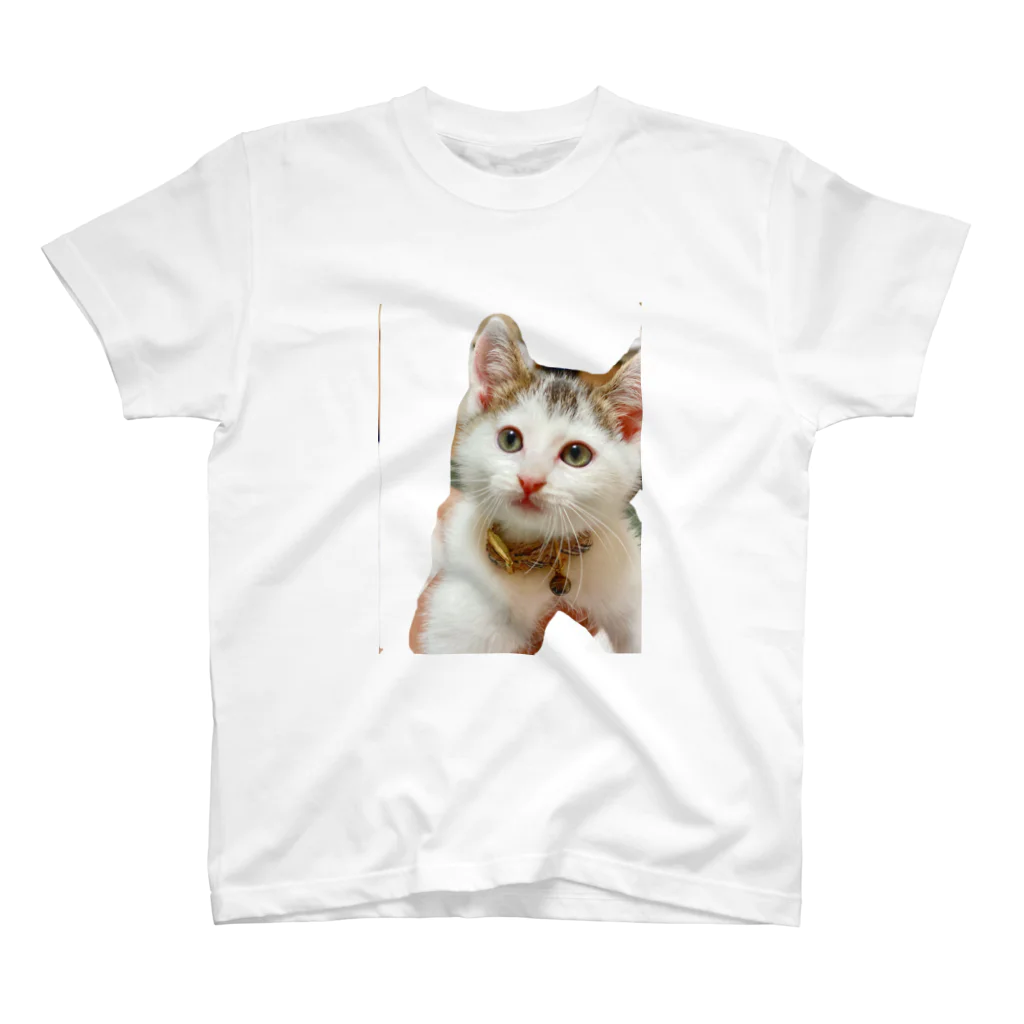 mucchinpurinの子猫 スタンダードTシャツ