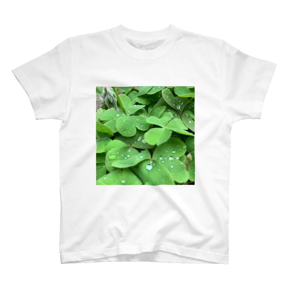 Mo.の🌿 Regular Fit T-Shirt