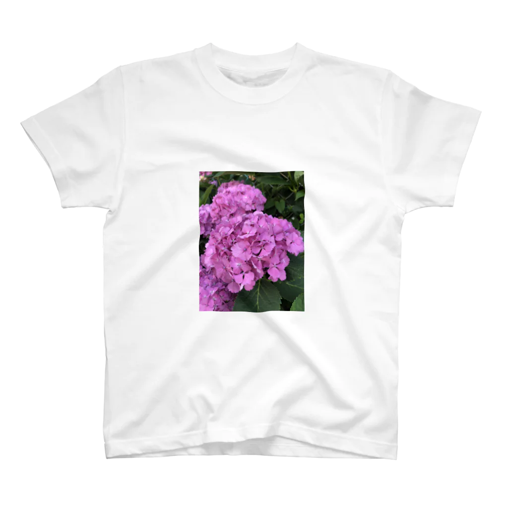 AbocadoのHydrangea スタンダードTシャツ