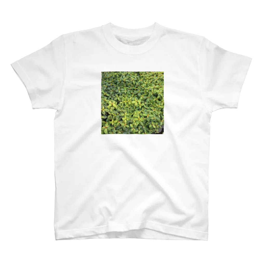 konikoniのgreen スタンダードTシャツ