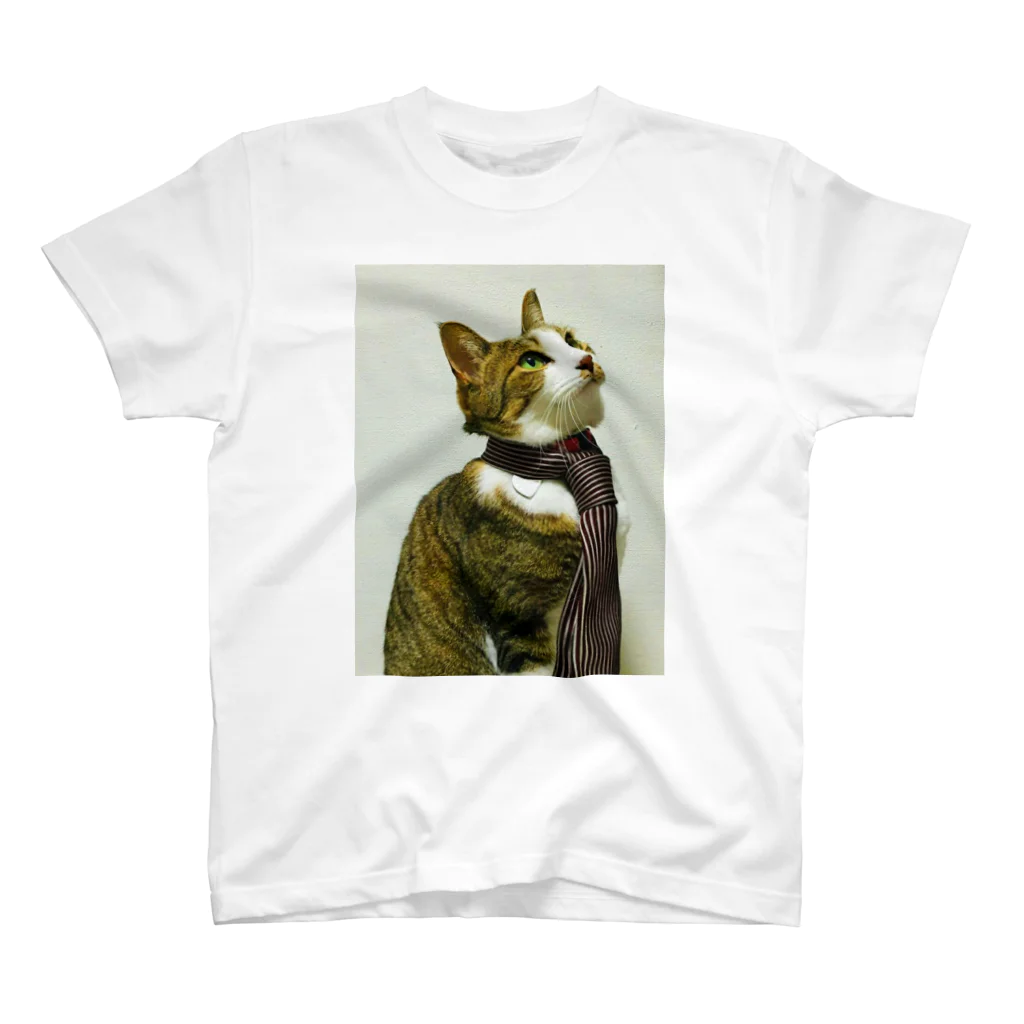 はやしの猫はネクタイを締めてるけど君はTシャツだよね スタンダードTシャツ