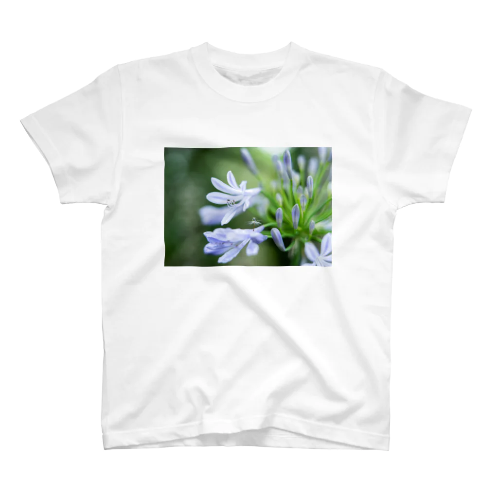 PhotoAtelier AileのAngel of Agapanthus 170702 Regular Fit T-Shirt