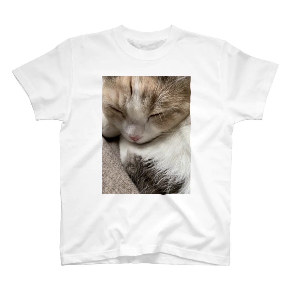 cocorobinのココ猫 スタンダードTシャツ