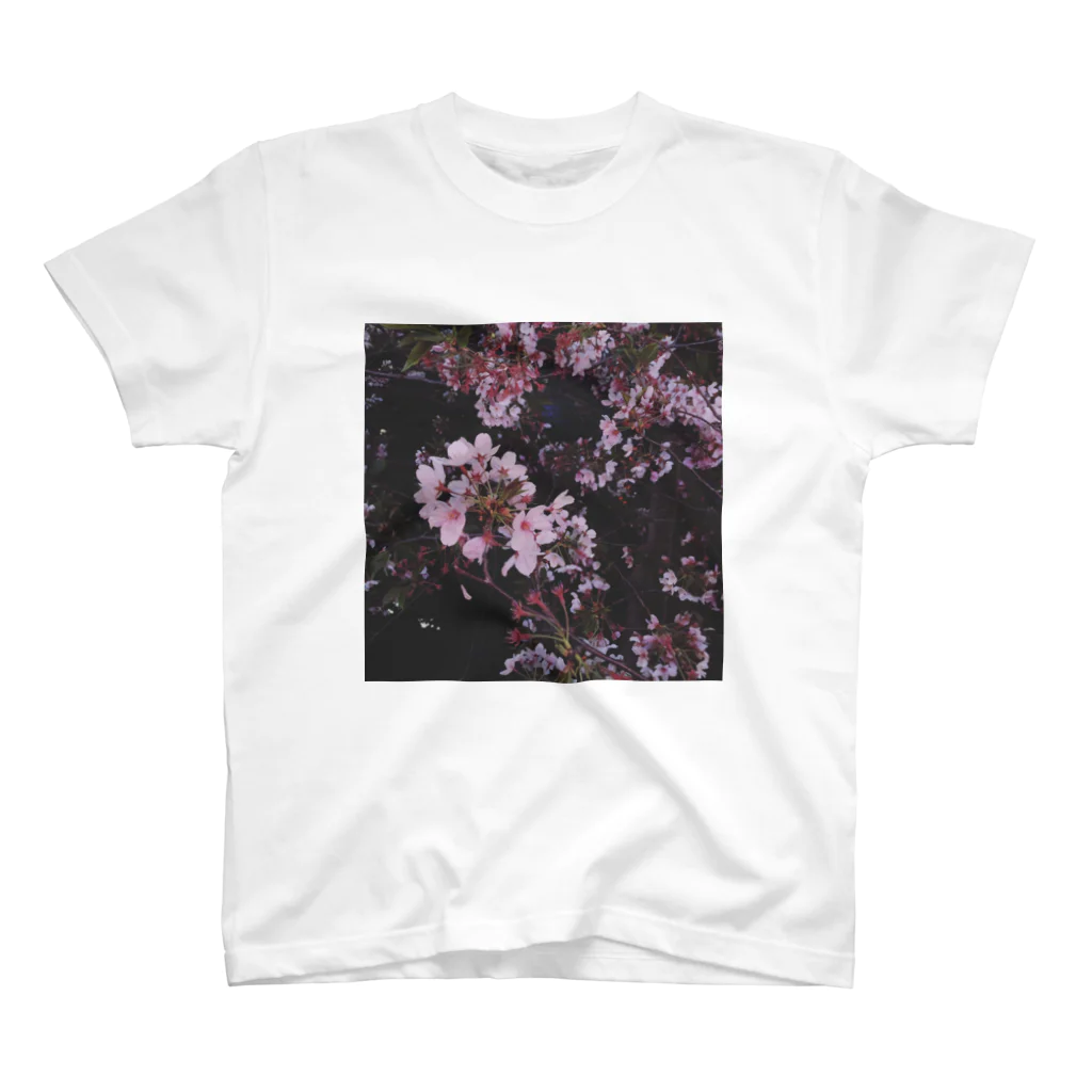 Bearsのさくら　Cherry Blossoms Regular Fit T-Shirt