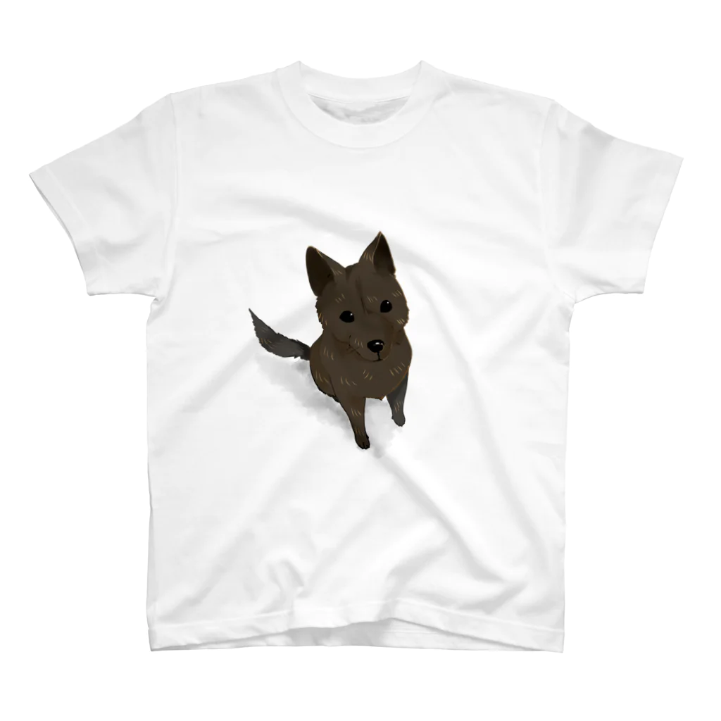 くろげちゃまじりの見上げる甲斐犬 スタンダードTシャツ