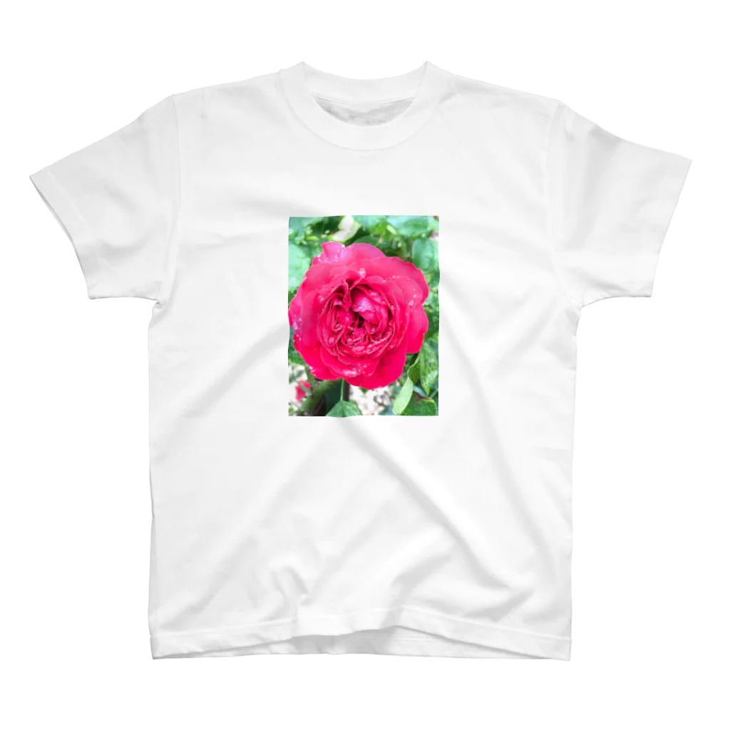 そとのショップの雨の日の薔薇 Regular Fit T-Shirt